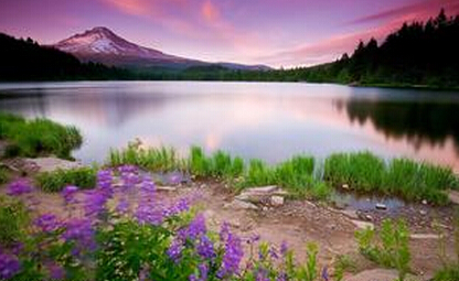 人都有一种天生的征服欲