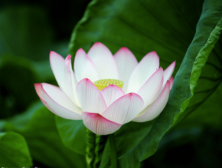 亲爱的女孩,请好好珍爱自己的身体! 亲爱的女孩,请好好珍爱自己的身体!