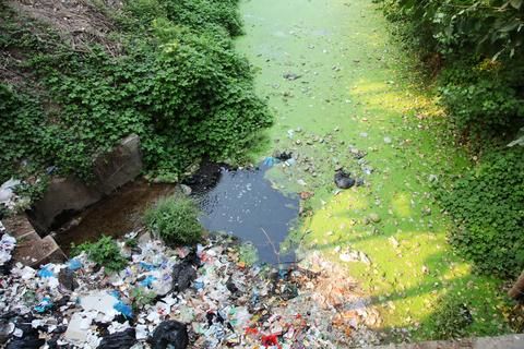 1471319548468.jpg 1123035preview4.jpg