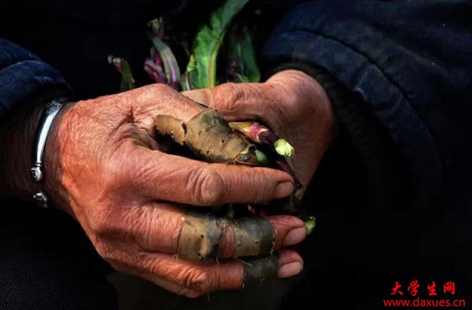 ���³���ӦƸ������ʱ�ĶԻ���������˼����