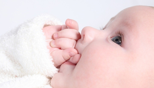 ��־�鼮�Ƽ��������ĳɹ���